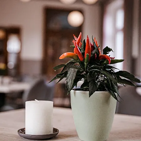 Hotell Gasthof-hotel Biedendieck Warendorf