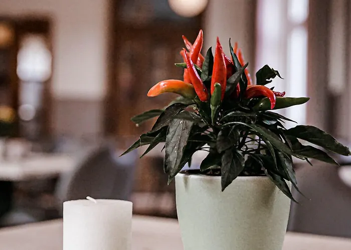 Hotel Gasthof-hotel Biedendieck Warendorf